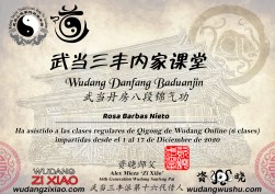 Titulo DanFang BaDuanJin