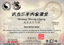 Titulo Wuxing Qigong