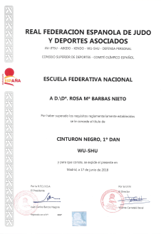 Titulo 1 Dan wushu modificado