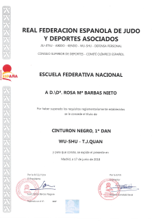 Titulo 1 Dan Wushu-Taichi modificado